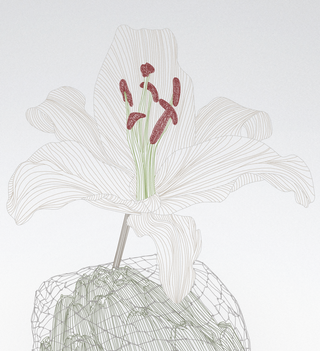 Egg, Artichoke and Lily - 60cm x 80cm Egg, Artichoke and Lily - 60cm x 80cm