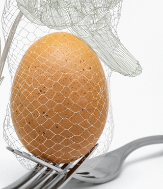 Egg, Artichoke and Lily - 60cm x 80cm Egg, Artichoke and Lily - 60cm x 80cm