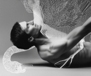 Fallen Swan - 60cm x 80cm Fallen Swan - 60cm x 80cm