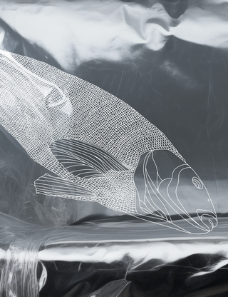 Wrapped in plastic - 80cm x 60cm Wrapped in plastic - 80cm x 60cm
